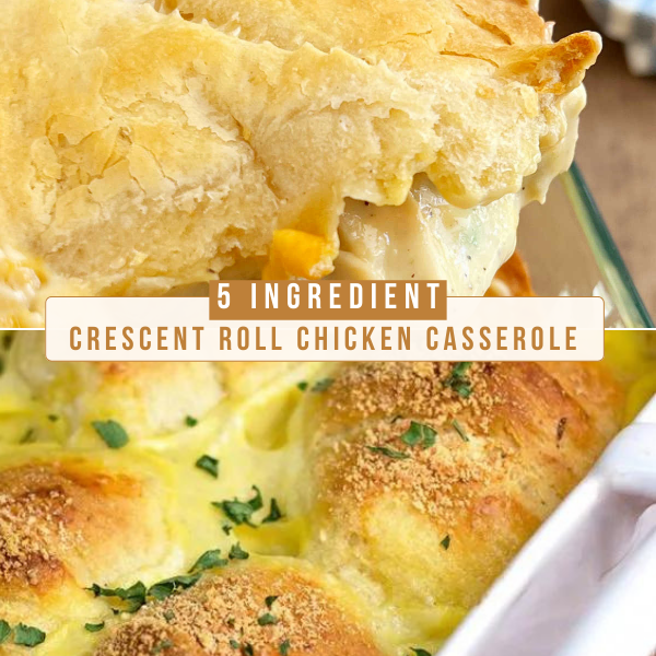 5-Ingredient Crescent Roll Chicken Casserole – AMERICAN RECIPE